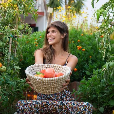 Prázdninový dům Seaside Alexandra,acharavi.