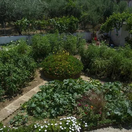 Seaside Alexandra,acharavi. Prázdninový dům