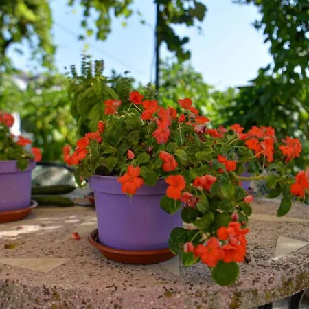 Seaside Alexandra,acharavi. Aharávi