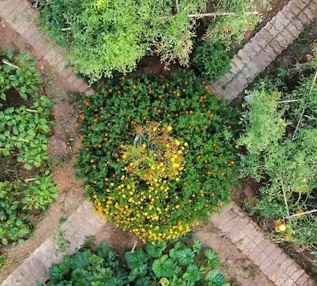 Seaside Alexandra,acharavi. *