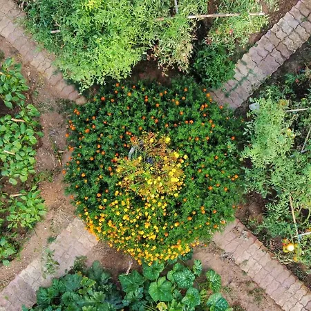 Ferienhaus Seaside Alexandra,acharavi. Acharavi (Corfu)