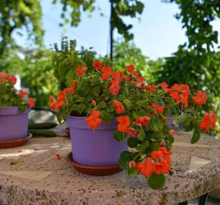 Ferienhaus Seaside Alexandra,acharavi.